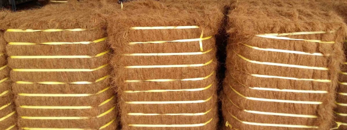 Coir Fiber Bale Coir Fiber Bale