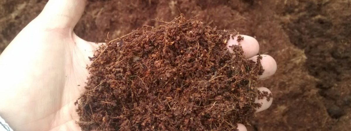 Cocopeat/Coir Mulch