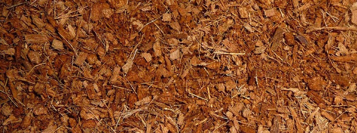 Cocopeat/Coir Chips Cocopeat/Coir Chips